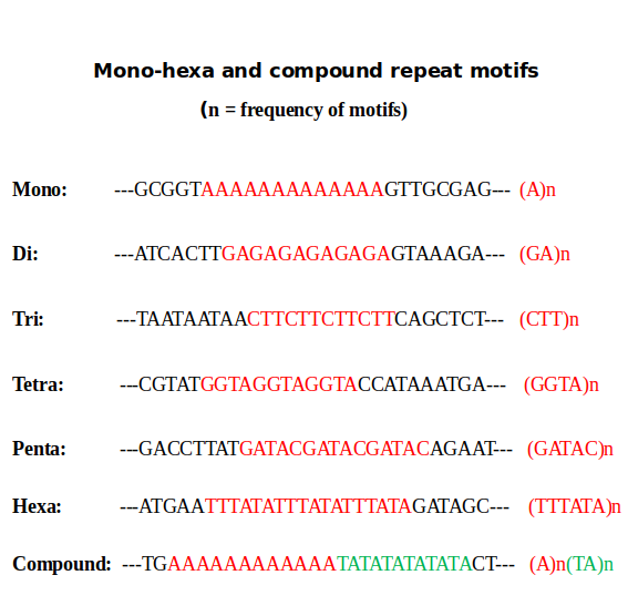 Mono-hexa and compound SSR