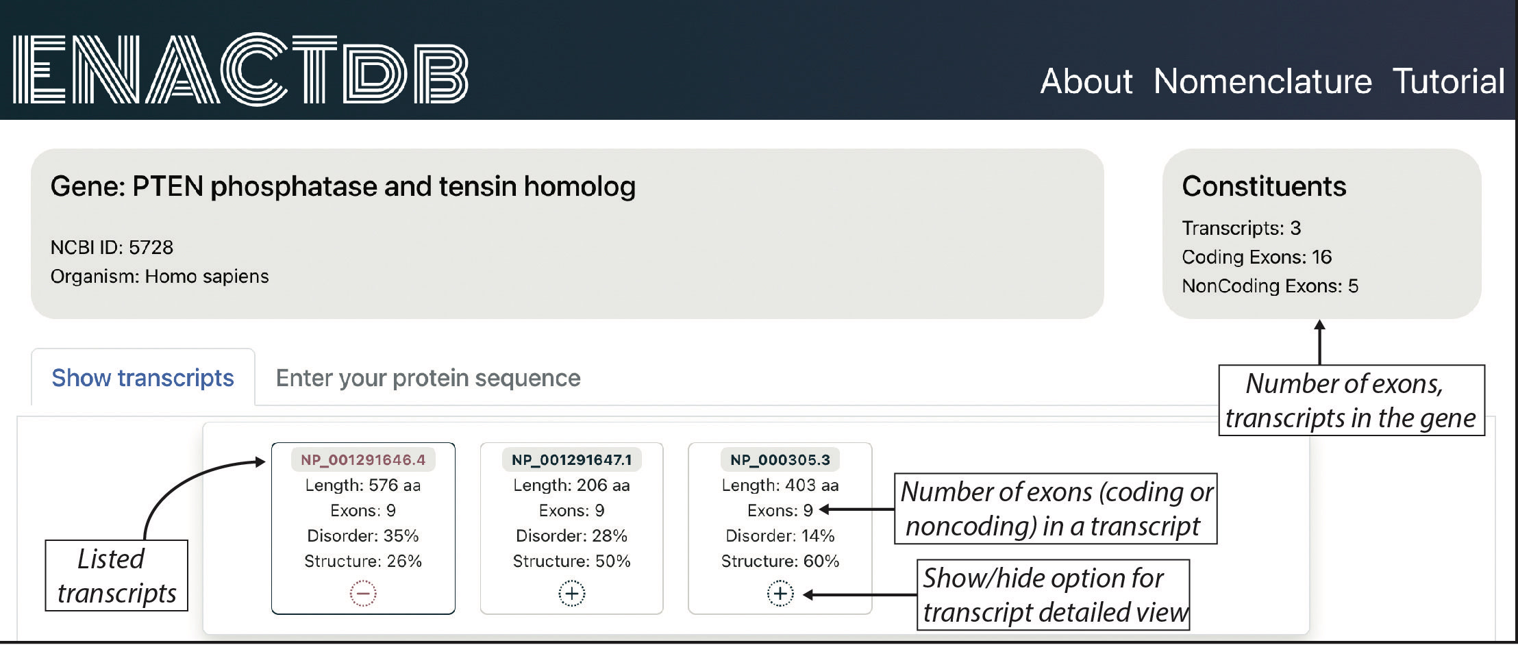 figure2