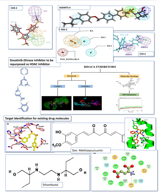 A typical workflow for PBVS: Repurposing of drugs against HDAC6