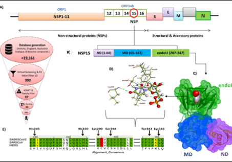 (A) Domain organization of complete SARS-CoV-19. (B) Nsp15 domain classification where
numbering represents the amino acid residues. (C) Surface representation of Nsp15 tertiary structure,

where endoU domain is shown in green, N-terminal domain (ND) is shown in purple, and middle domain
(MD) is shown in blue. (D) 3D representation of binding site residues of Nsp15-UMP complex. (E) Binding
site residues conservation among SARS-CoV2, SARS, and MERS. (F) Schematic representation
illustrating the methodology for the identification of NSP15 inhibitors of SARS-CoV-2.