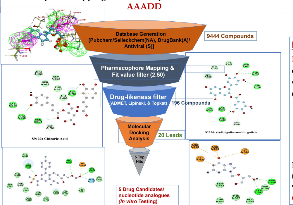 Pharmacopore mapping