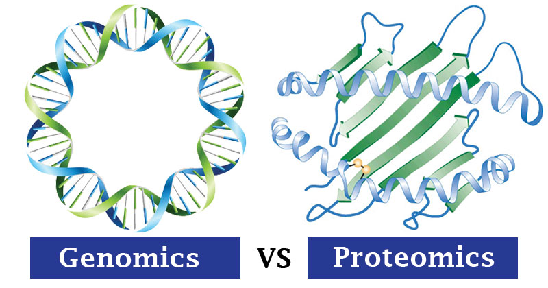 Genomics/Ptoteomics