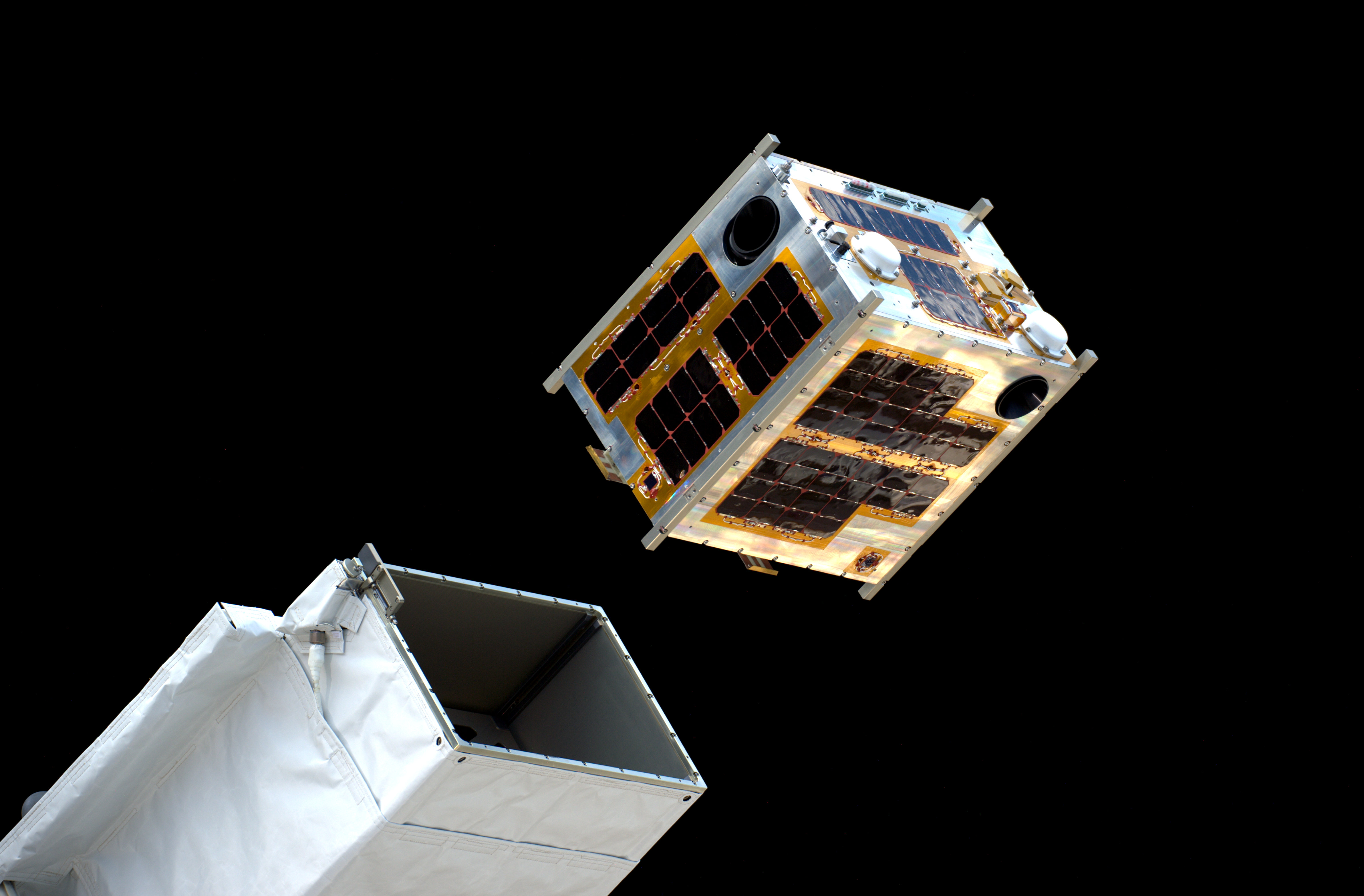 Microsatellite