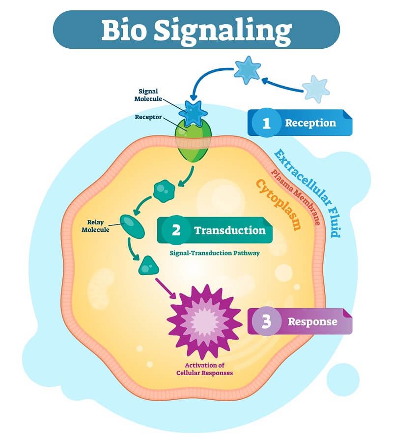 Signalling