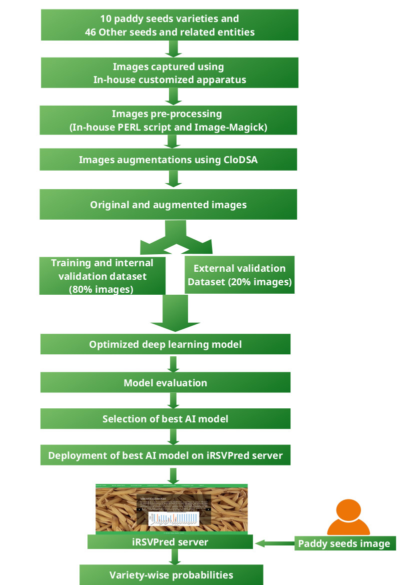 Figure: Work-flow representing overall strategy used to develop artificial intelligence based prediction models used on iRSVPred web server.
