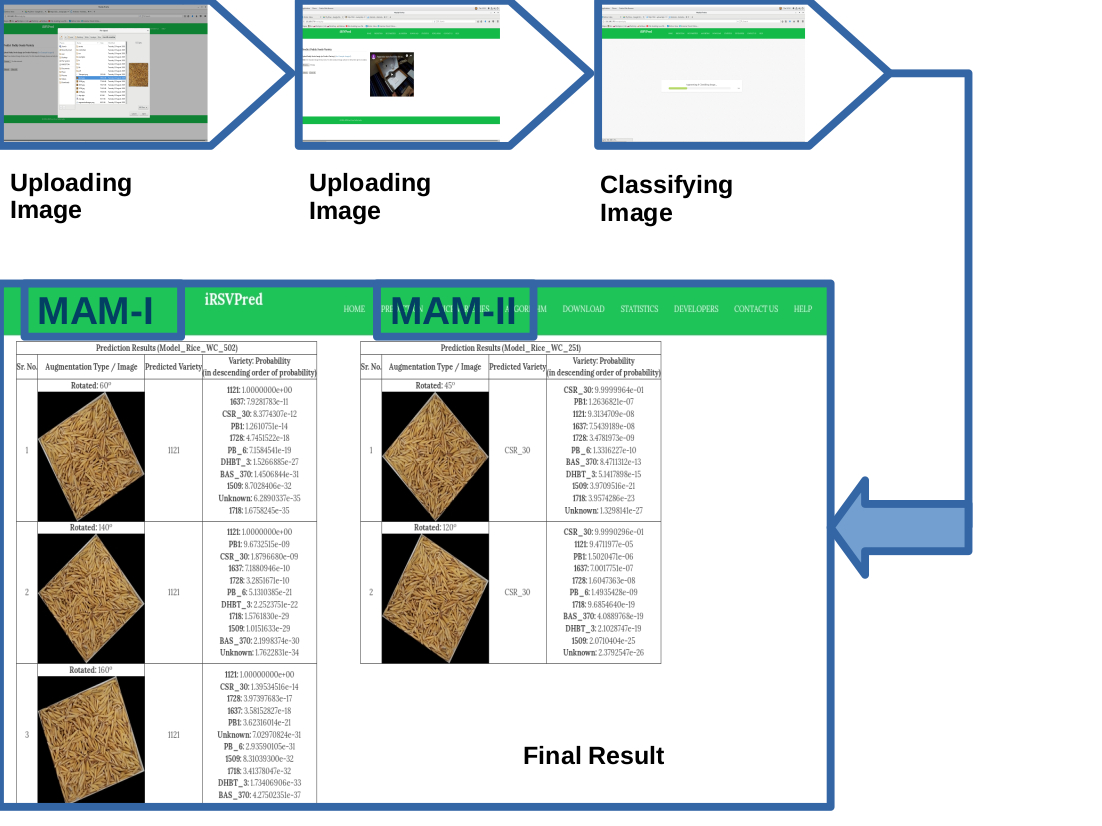 Figure: Overview of paddy seeds variety prediction using iRSVPred web server.