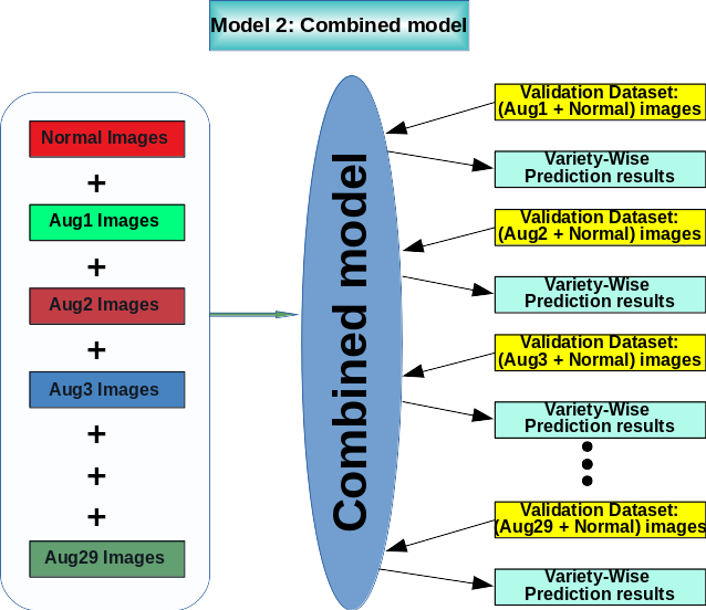 Model II